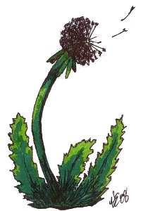 Dandilion Tattoo