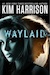 Waylaid
